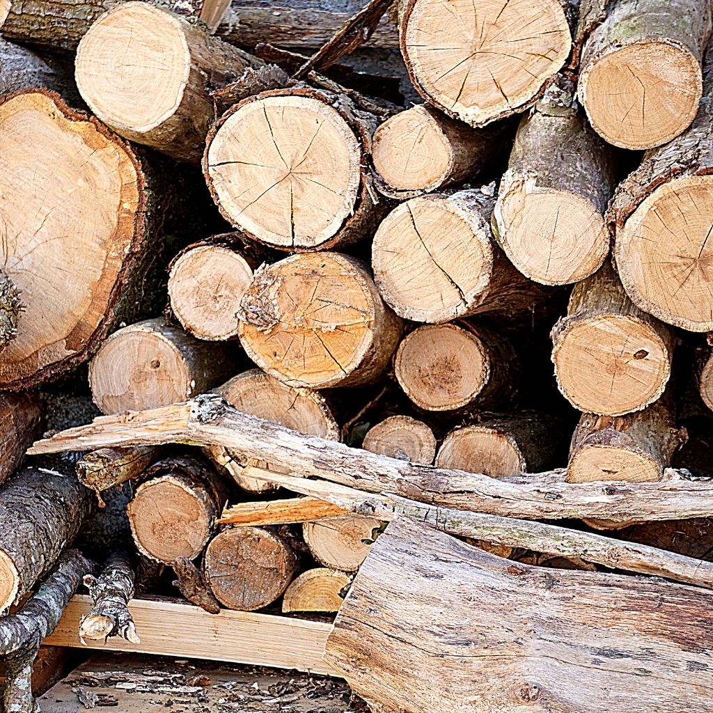 Winter Preparedness Firewood min