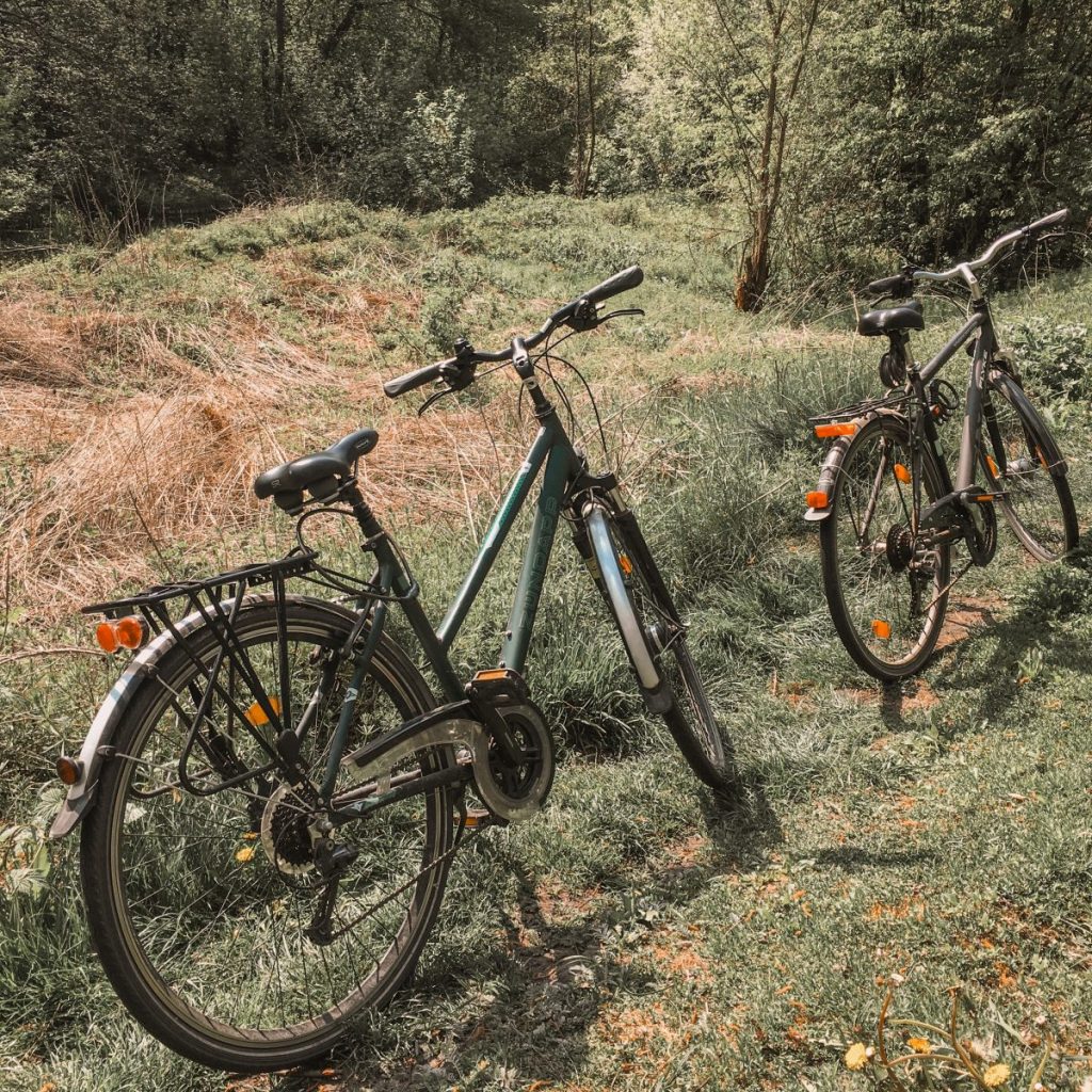 Hiking and Mountain Biking In St. Kitts