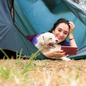 Holiday Travel with your Pets