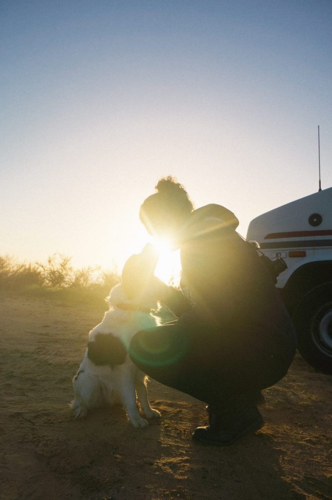 8 Tips For Traveling With Your Dog