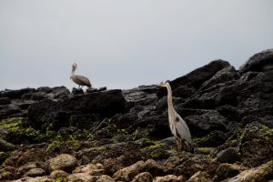 Hilton Head Island