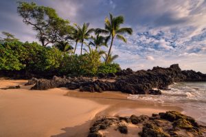 Your Maui Honeymoon