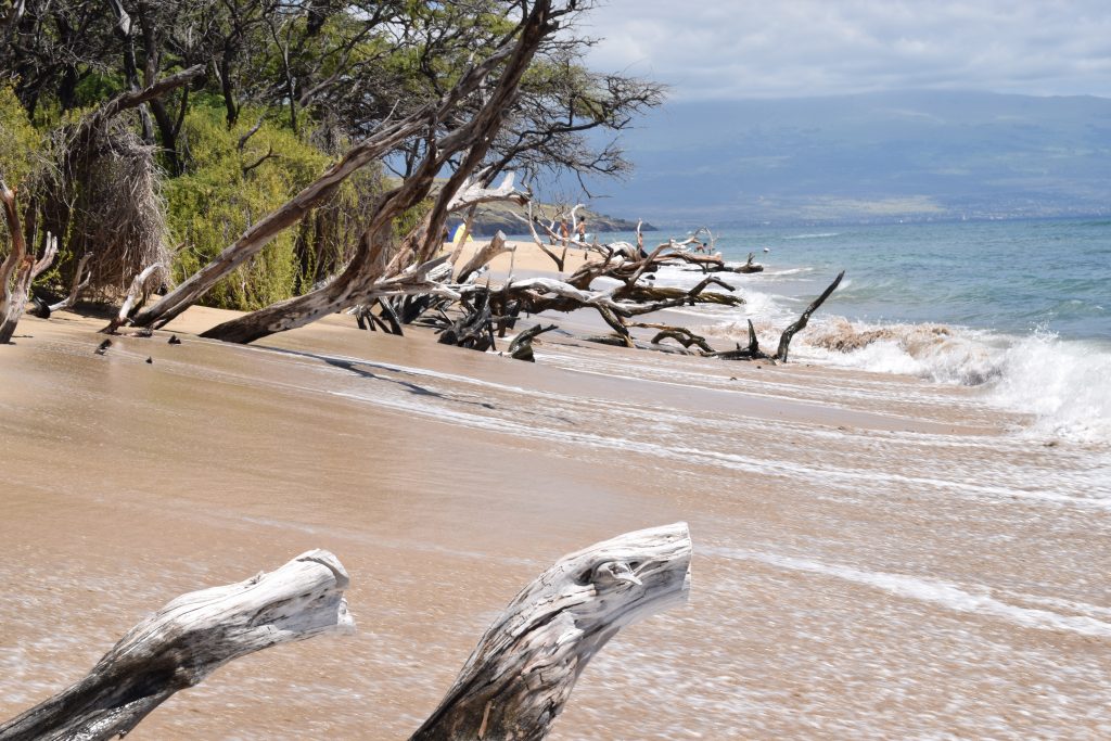 Maui: Family Beach Vacation In Maui